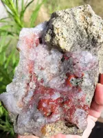 20190527_075016~2.webp