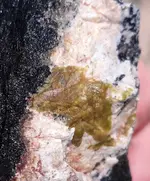 20190701_074006.webp