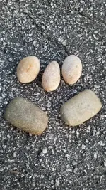 20190622_060343.webp