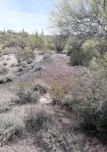 20190506_135601.webp