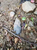 20190517_175303.webp