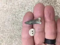 Small Drill.webp
