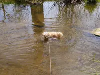 trip 050319 5.webp