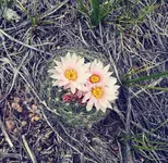0514191152_Film1.webp