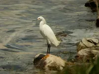 trip 050319 7.webp