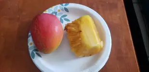 20190611_171845.webp