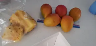 20190611_171610.webp