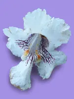 20190506_110012[1].webp