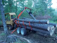 DSCN4263.webp
