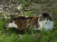 DSCN2639.webp