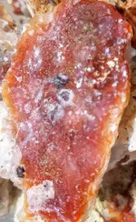 20190622_084546~3.webp