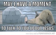 May-I-have-a-moment---polar-bear-meme.jpg