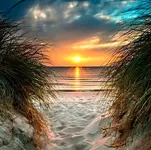 Beach Morning.webp