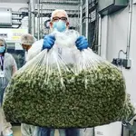 HOqVSzJO_2019703114232.webp HOqVSzJO_2019703114232.webp