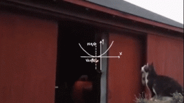 hCtHKead_2019704064248.gif hCtHKead_2019704064248.gif