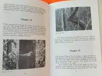 Spirit Phographs At Treasure Sites 3.webp