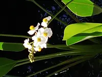 20190518_090656.webp