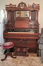 organ b.webp