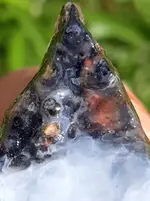 20190518_080904~2.webp