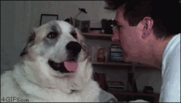 9A31F882-252D-4C34-A706-34A2357D144C.gif