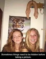390eafecfa86546f6801edae8d91c08d.webp