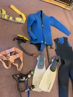 diving.webp