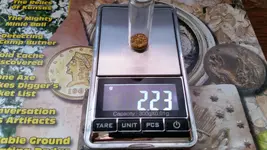 DirtHogg weigh in.webp