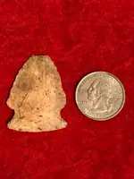 ImageUploadedByTreasureNet.com1562037220.159837.webp