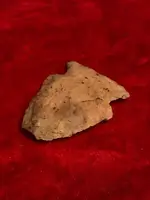 ImageUploadedByTreasureNet.com1562037270.226392.webp ImageUploadedByTreasureNet.com1562037270.226392.webp