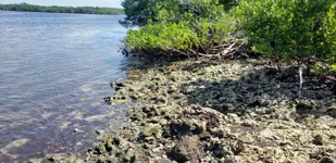 20190704_161529.webp 20190704_161529.webp
