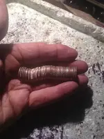 ImageUploadedByTreasureNet.com1558224927.357513.webp