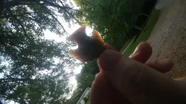 0613191911.webp