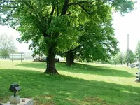 DSCF0020.webp
