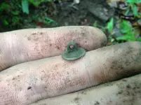 smallbutton.webp