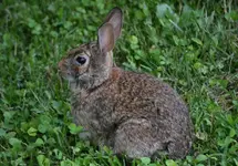 DSC_1198.webp DSC_1198.webp