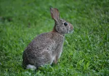 DSC_1203.webp DSC_1203.webp