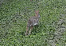 DSC_1210.webp DSC_1210.webp