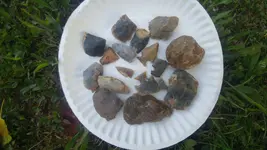 0613191915.webp