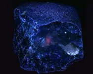 LW UV image14.webp