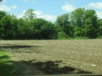 DSCN0380.webp