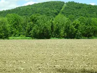 DSCN0381.webp