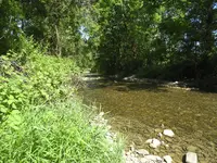 DSCN0382.webp