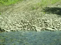 DSCN0383.webp
