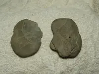 DSCN0384.webp