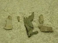 DSCN0389.webp