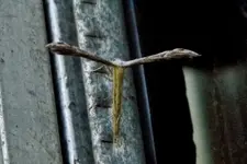 DSCN2740.webp
