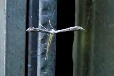 DSCN2739.webp
