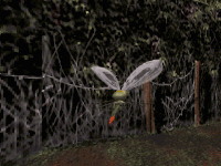 Mosquito.gif