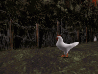 Chicken.gif Chicken.gif
