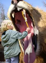 Boy-Brushing-a-Lion-s-Teeth--84849.webp
